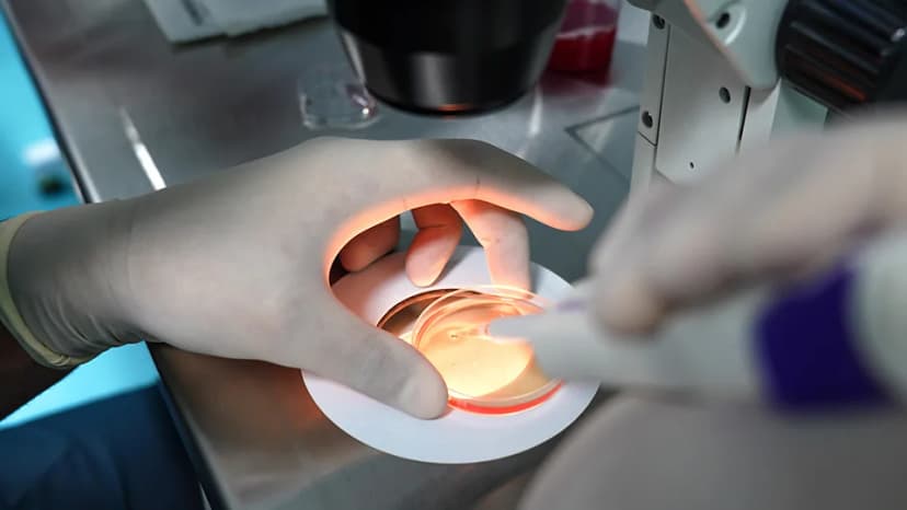Intrauterine Insemination (IUI)