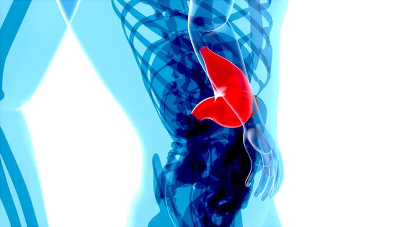 Colorectal Surgery